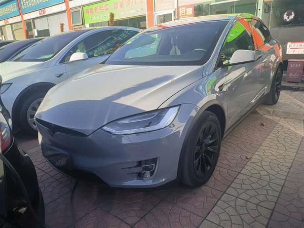 Model X 2019款 标准续航版