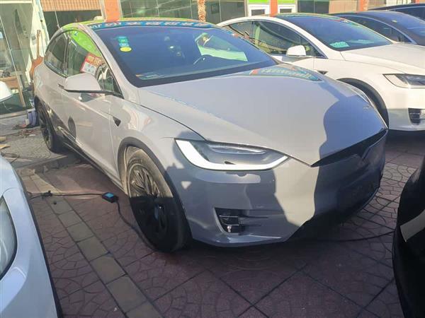 Model X 2019款 标准续航版