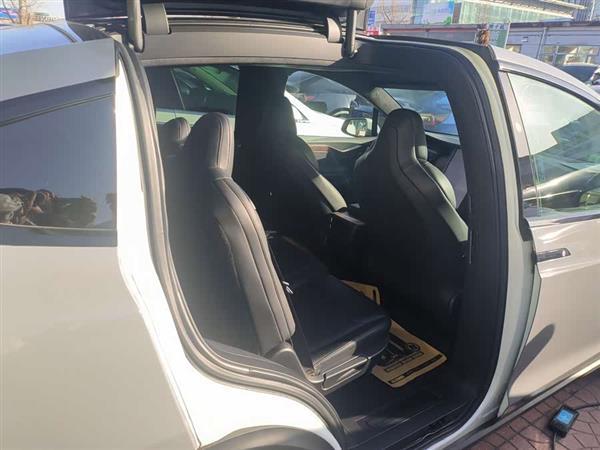 Model X 2019款 标准续航版