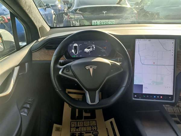 Model X 2019款 标准续航版