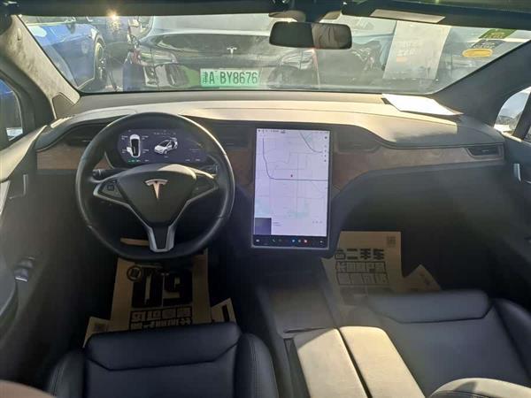 Model X 2019款 标准续航版