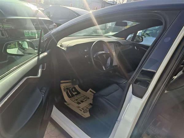 Model X 2019款 标准续航版