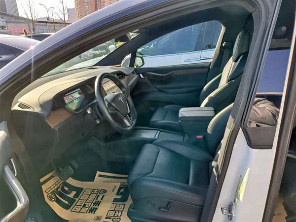 Model X 2019款 标准续航版