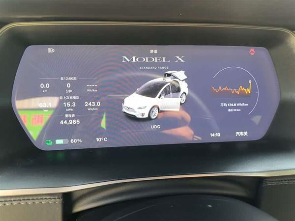 Model X 2019款 标准续航版
