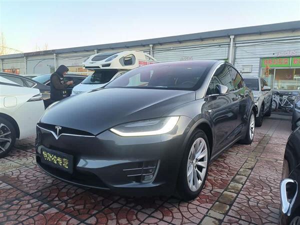 Model X 2017款 Model X 100D 长续航版