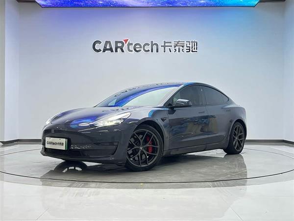 Model 3 2021款 Performance高性能全轮驱动版