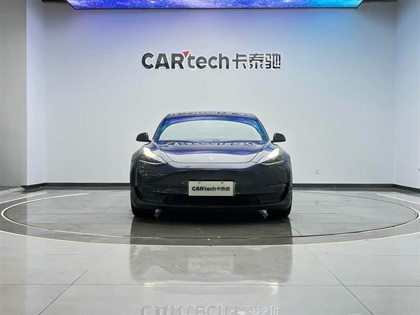 Model 3 2021款 Performance高性能全轮驱动版