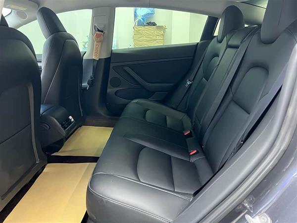 Model 3 2021款 Performance高性能全轮驱动版