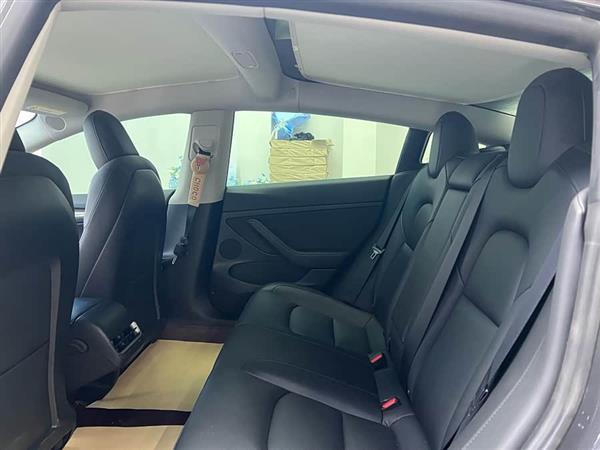 Model 3 2021款 Performance高性能全轮驱动版