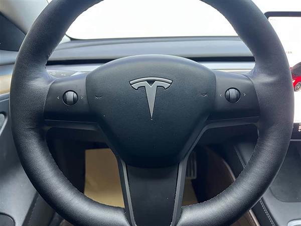 Model 3 2021款 Performance高性能全轮驱动版