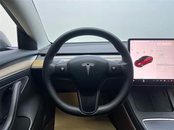 Model 3 2021款 Performance高性能全轮驱动版
