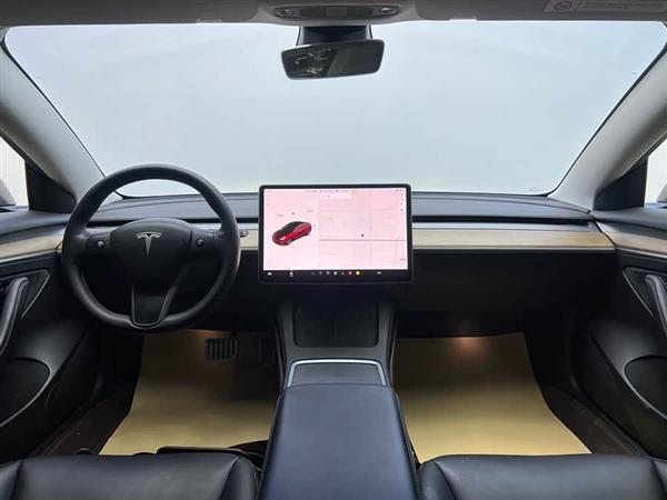 Model 3 2021款 Performance高性能全轮驱动版