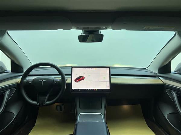 Model 3 2021款 Performance高性能全轮驱动版