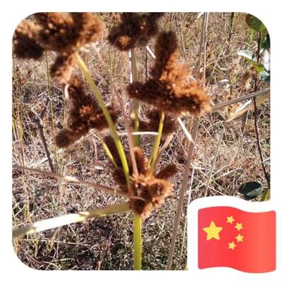 王海莹